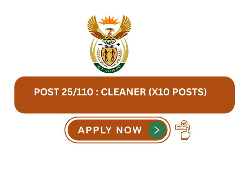 Cleaner (X10 Posts) – POST 25/110