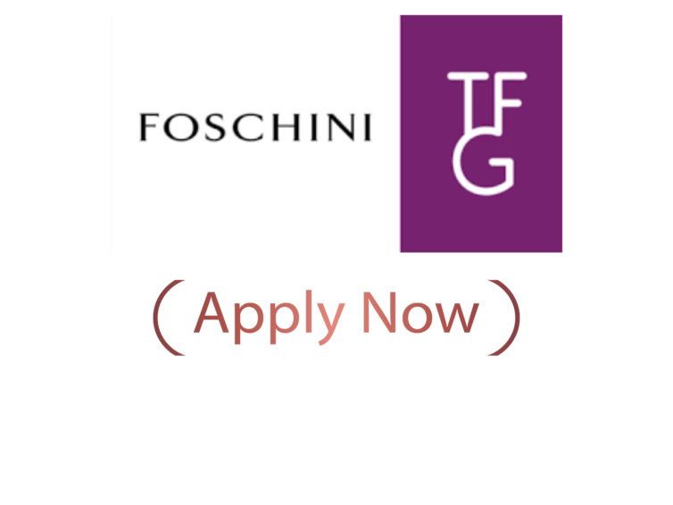 TFG (The Foschini Group) YES Learnership 2026: Complete Guide