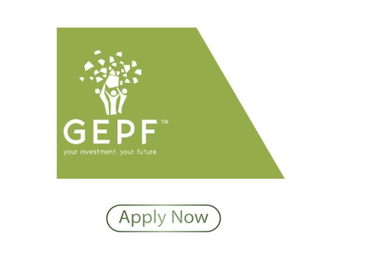 GEPFuture Internship Opportunities 2026–2028: Complete Guide What you need to know and how to apply