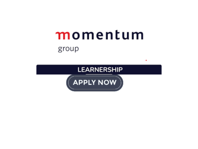 Momentum Insure Short-Term Insurance Learnership 2026: Complete Guide