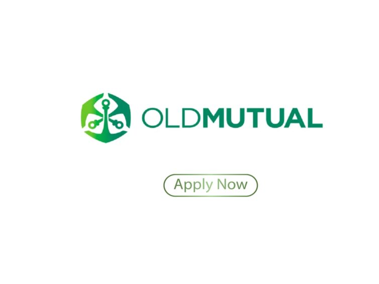 Old Mutual Corporate Internship Program 2026: Complete Guide