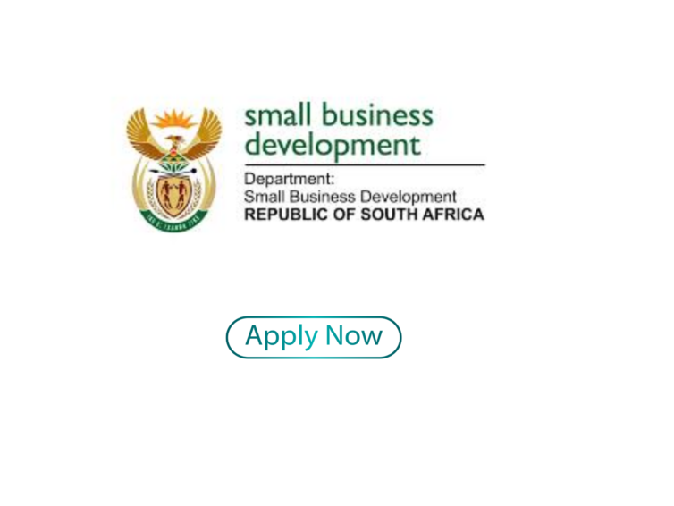 Department of Small Business Development Internship 2026: Complete Guide to Apply